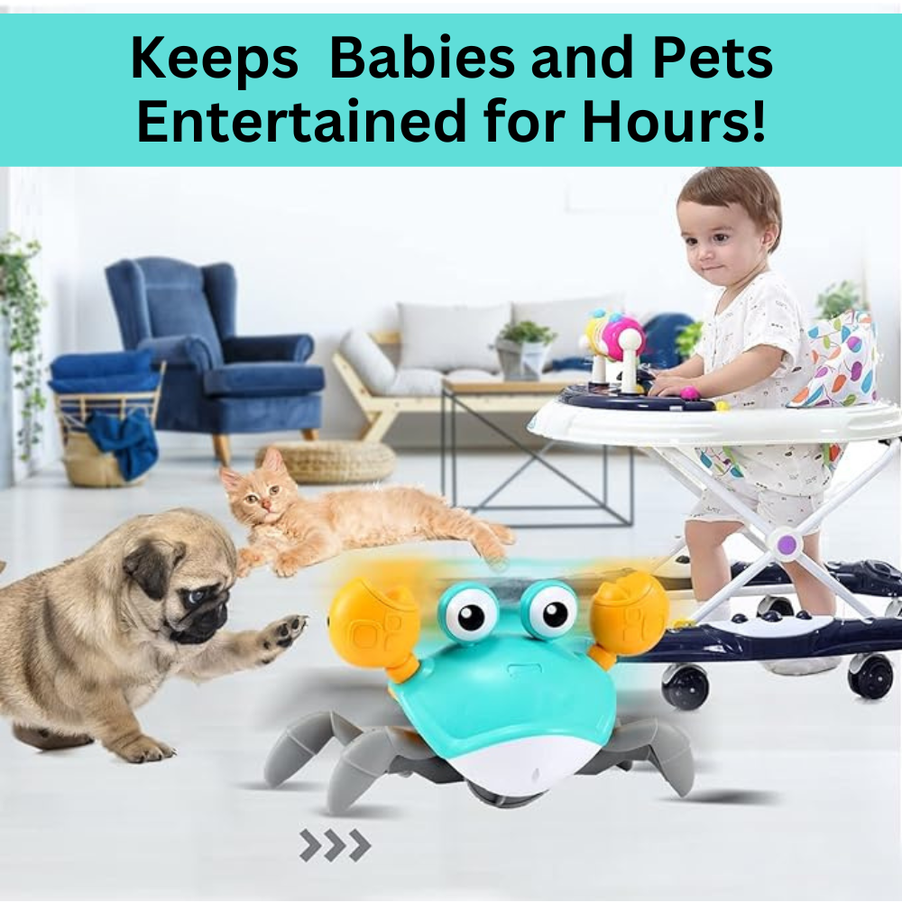 Crabby Pals™: Joy for Pets & Babies