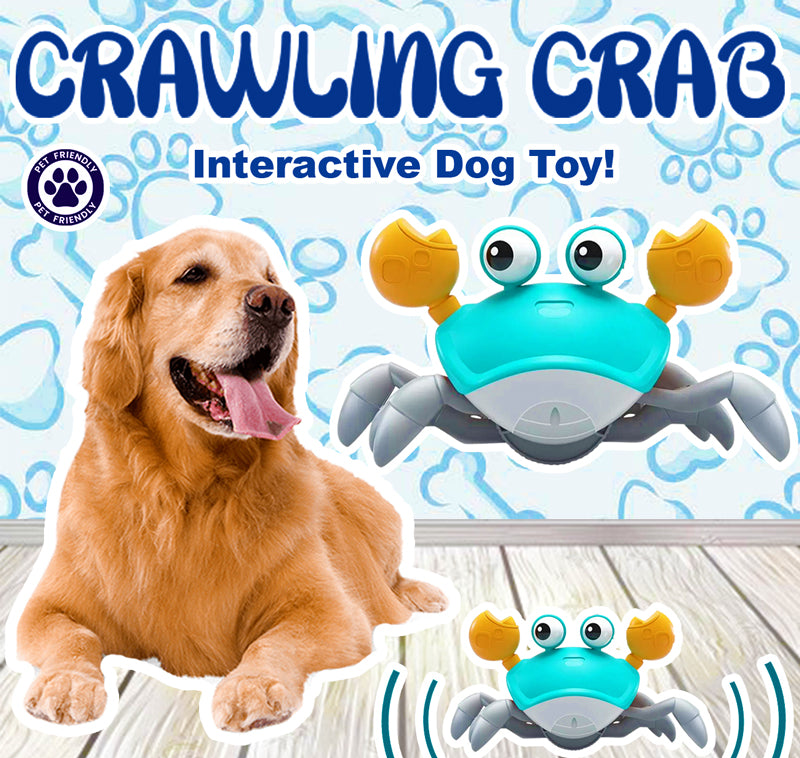 Crabby Pals™: Joy for Pets & Babies